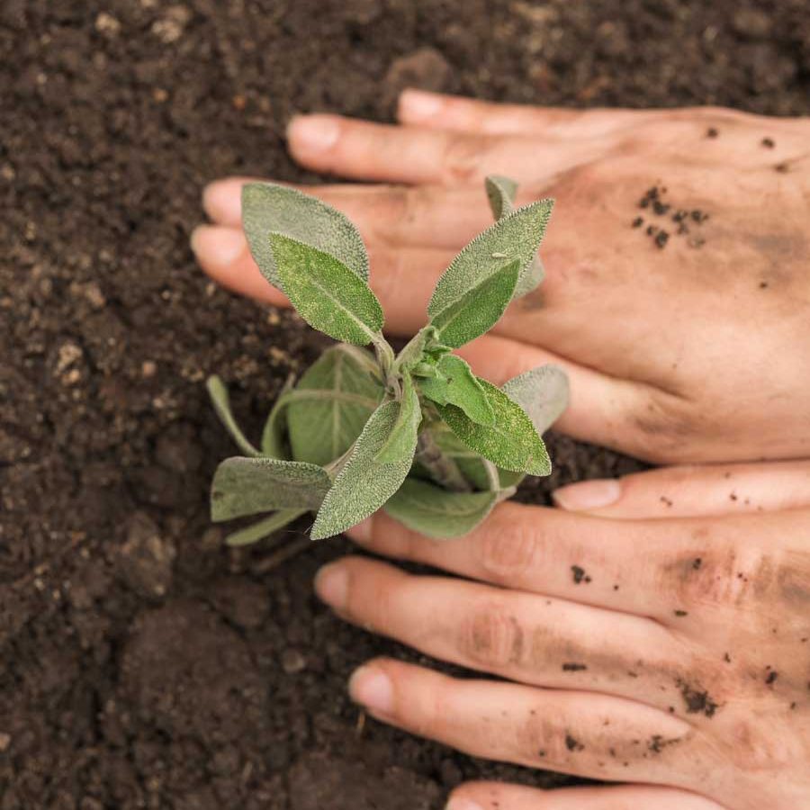 naturale_bottega-officinale-di-giulia